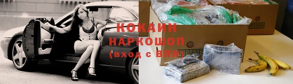 винт Бородино