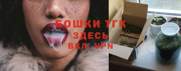 винт Бородино