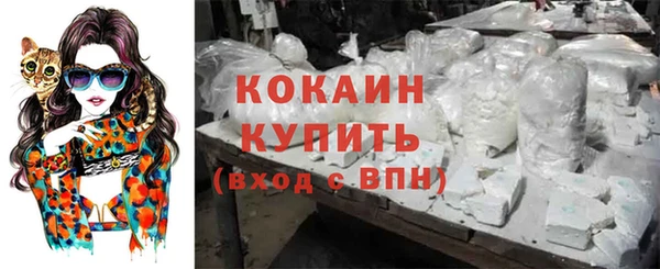 винт Бронницы