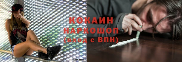 винт Бородино