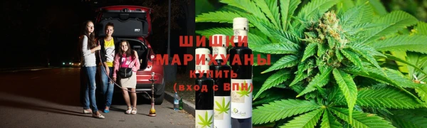винт Бородино
